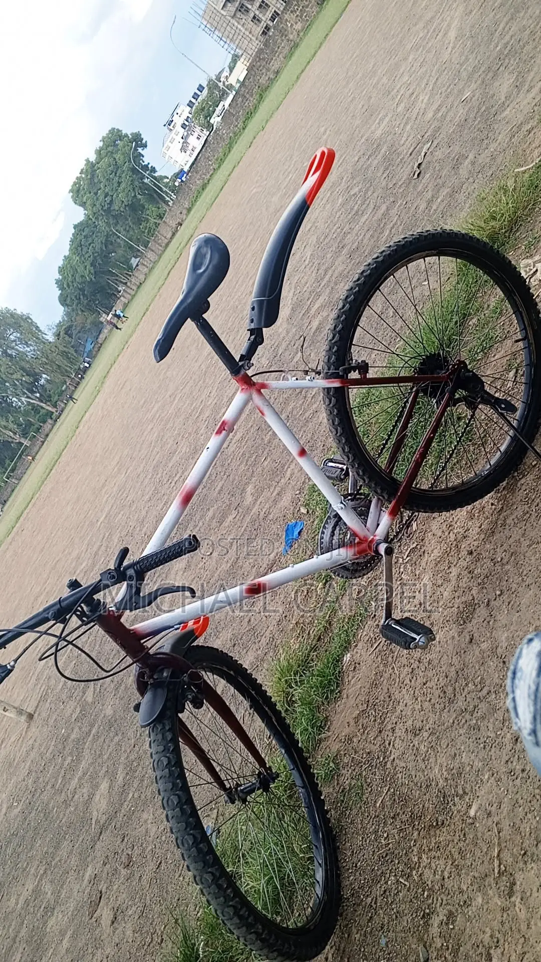 Phoenix Bicycle