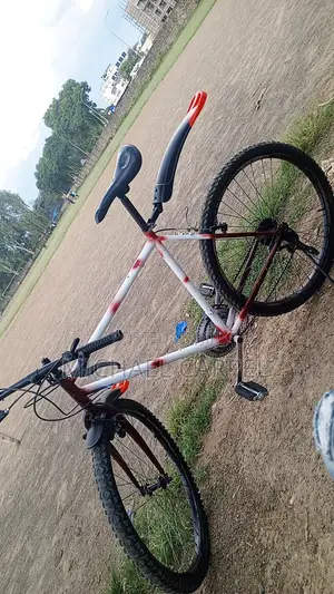 Phoenix Bicycle