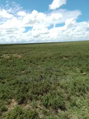 Laikipia North 12500 Acres With Permanent River Fronting