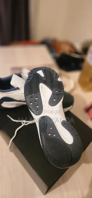Dark Blue and White Sneakers