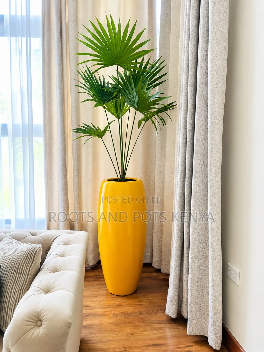 Plants and Pot