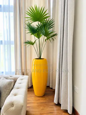 Plants and Pot