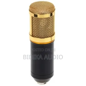 BM-800 Condenser Recording Microphone With Shock Mount - Black