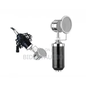 BM-8000 Condenser Sound Recording Microphone With Shock Mount