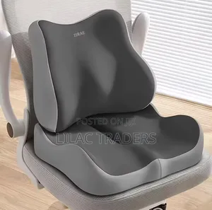 * 2 in 1 Ergonomic Back Support Seat Cushion Alp