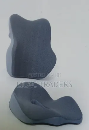 * 2 in 1 Ergonomic Back Support Seat Cushion Alp