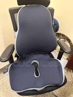 * 2 in 1 Ergonomic Back Support Seat Cushion Alp