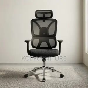 Office Chairs; Orthopedic Executive Seat With Lumbar Support