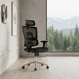 Office Chairs; Orthopedic Executive Seat With Lumbar Support