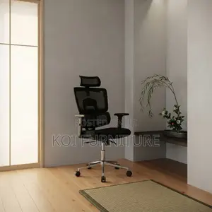 Office Chairs; Orthopedic Executive Seat With Lumbar Support