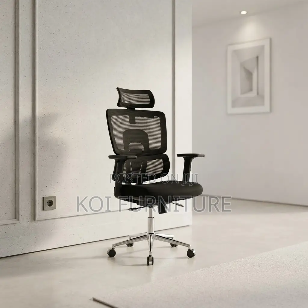 Office Chairs; Orthopedic Executive Seat With Lumbar Support