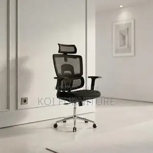 Office Chairs; Orthopedic Executive Seat With Lumbar Support
