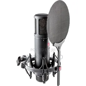 sE Electronics sE2200 Large-Diaphragm Cardioid Condenser Microphone