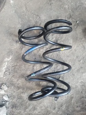 Toyota Passo Rear Coil Springs