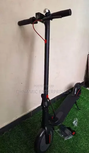 Electric Scooter Adults