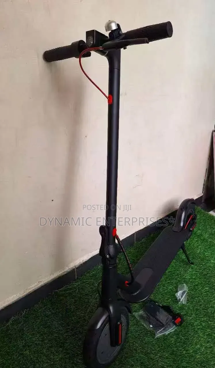 Electric Scooter Adults