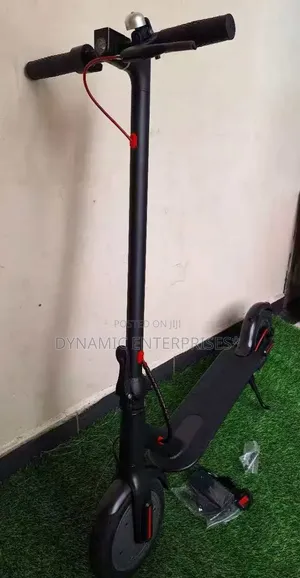 Electric Scooter Adults