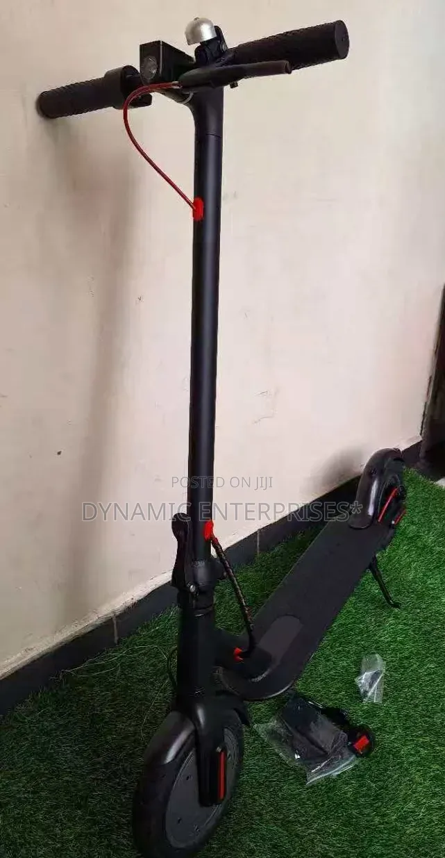 Electric Scooter Adults