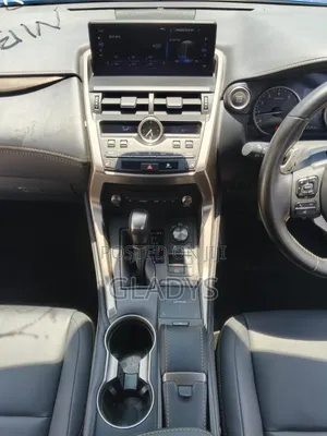 Lexus NX 2020 Blue
