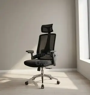 Office Chair : Mesh Ergonomic Adjustable Chair