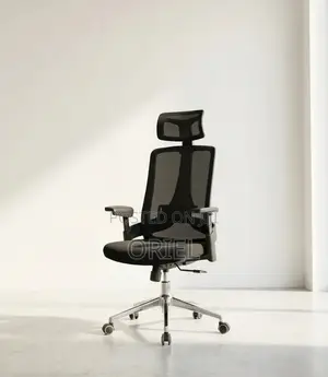 Office Chair : Mesh Ergonomic Adjustable Chair
