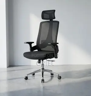 Office Chair : Mesh Ergonomic Adjustable Chair