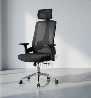 Office Chair : Mesh Ergonomic Adjustable Chair