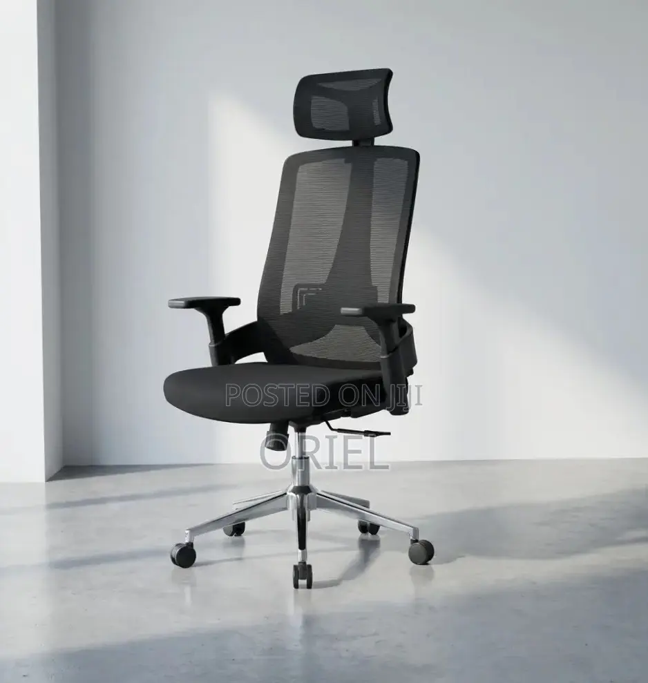 Office Chair : Mesh Ergonomic Adjustable Chair