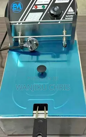Electric Single Deep Fryer