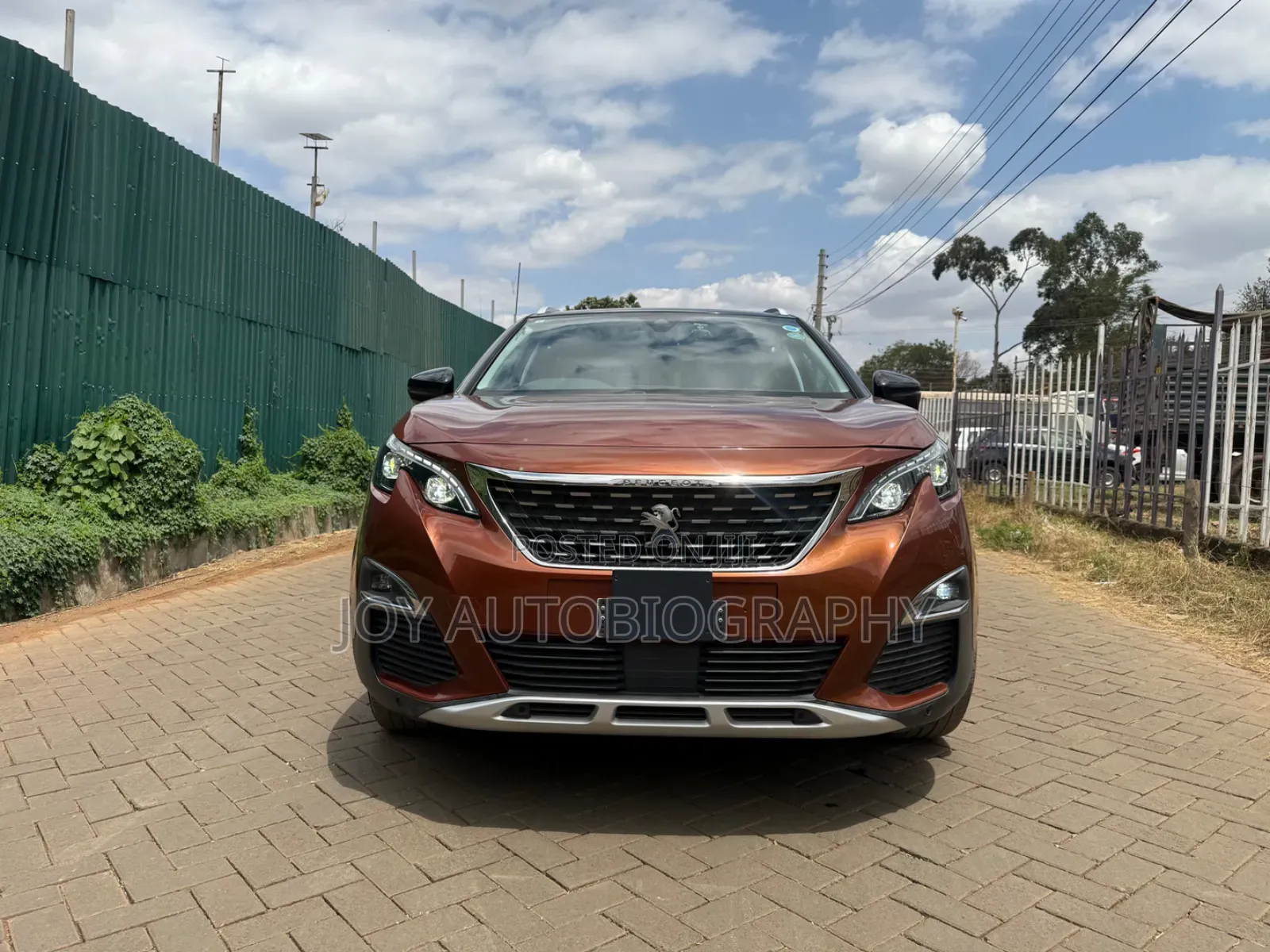 Peugeot 3008 2019 Brown
