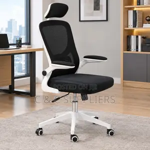 Modern Ergonomic Mesh Desk Seat.