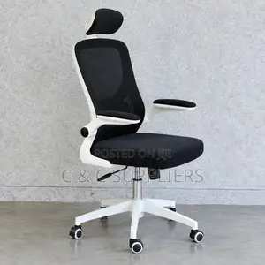 Modern Ergonomic Mesh Desk Seat.