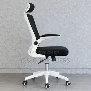 Modern Ergonomic Mesh Desk Seat.