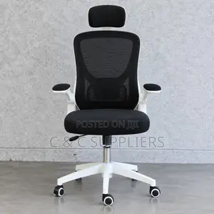 Modern Ergonomic Mesh Desk Seat.
