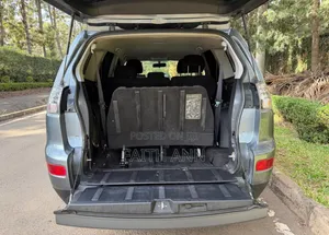 Mitsubishi Outlander 2008 Gray