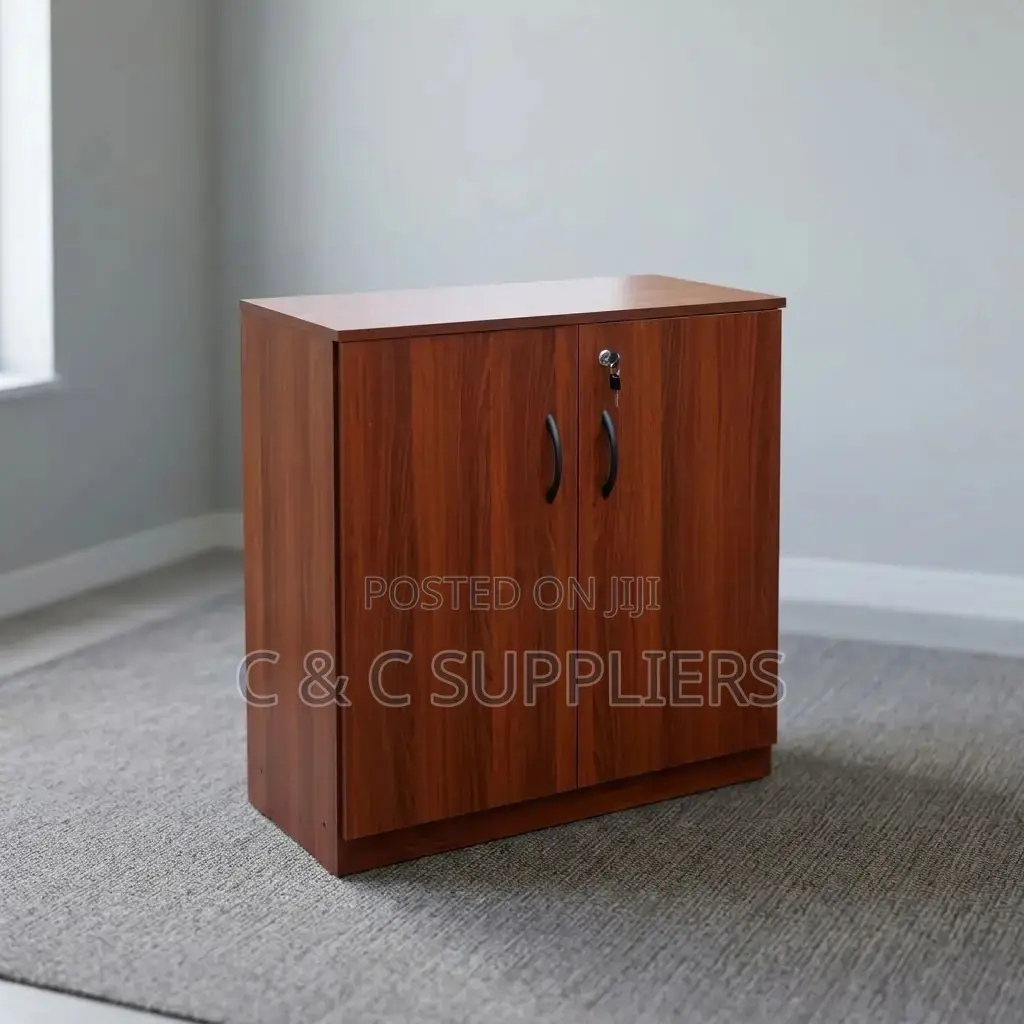 Office Wood Cabinet