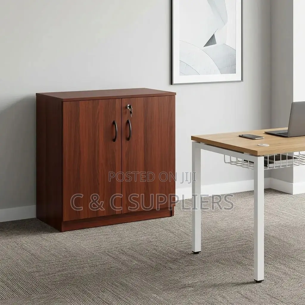 Office Wood Cabinet