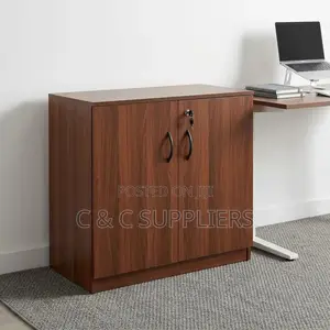 Office Wood Cabinet