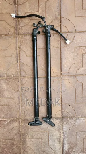 Harrier New Model Boot Electric Shock Absorbers
