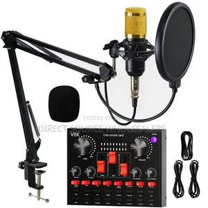 Bm800 V8Sk Condenser Microphone for Live Recording