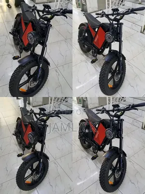 60V 1000W Electric Bike 75km/H Fat Tyre Long Range 110KM - Br