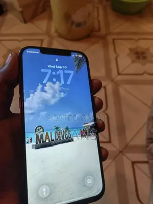 Apple iPhone 12 Pro Max 256 GB Blue