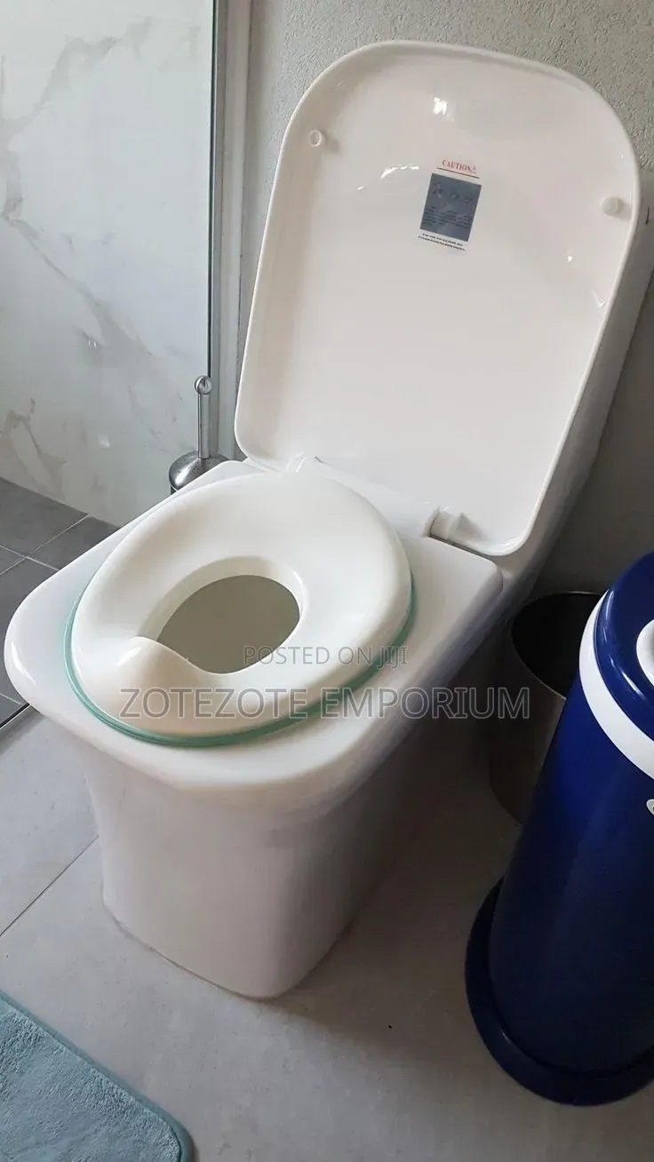 Potty Training Seat