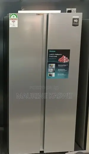 Side by Side Ref441dr-Hisense