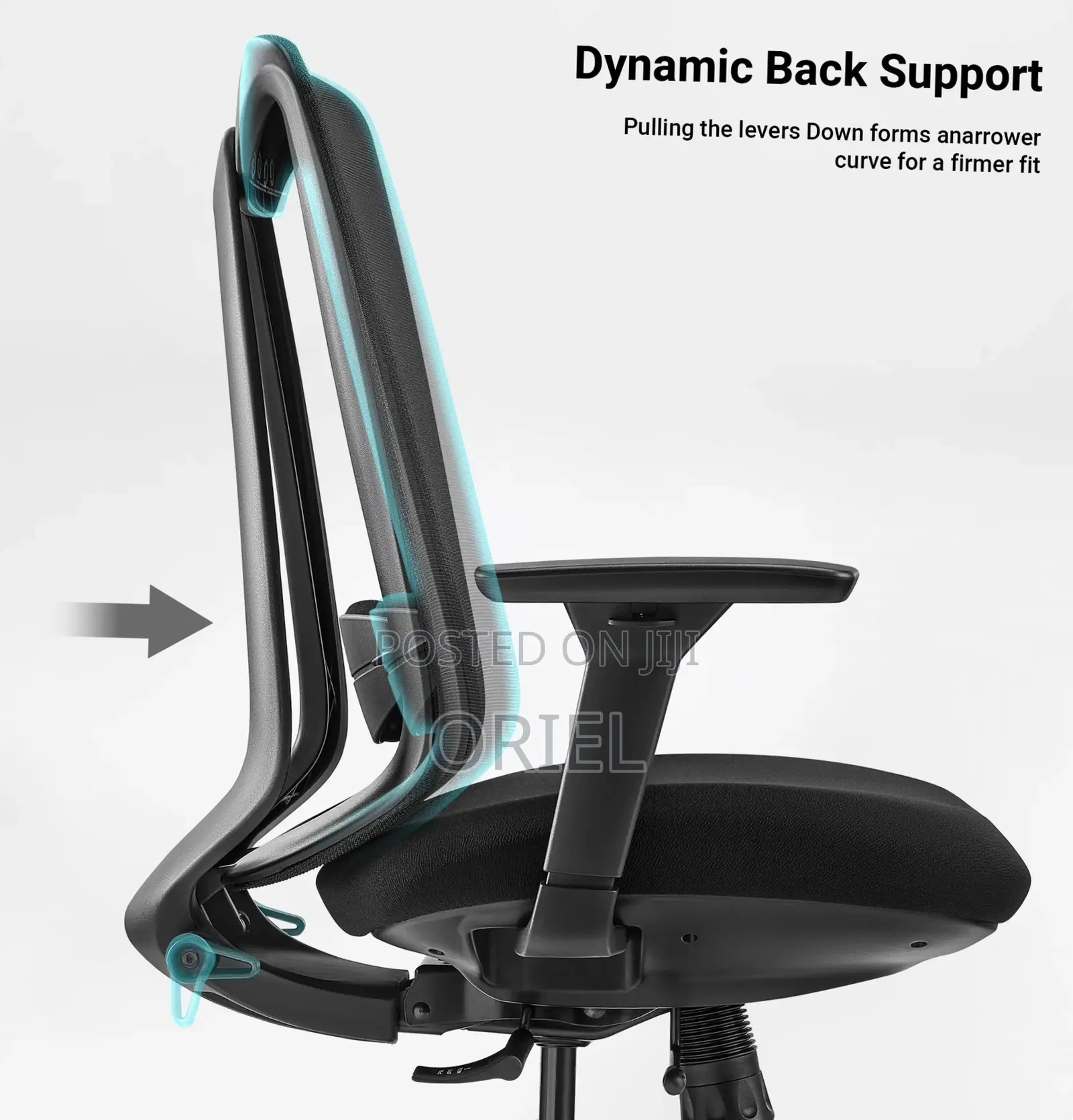 Office Chair : Adjustable Mid-Back Office Task Chair