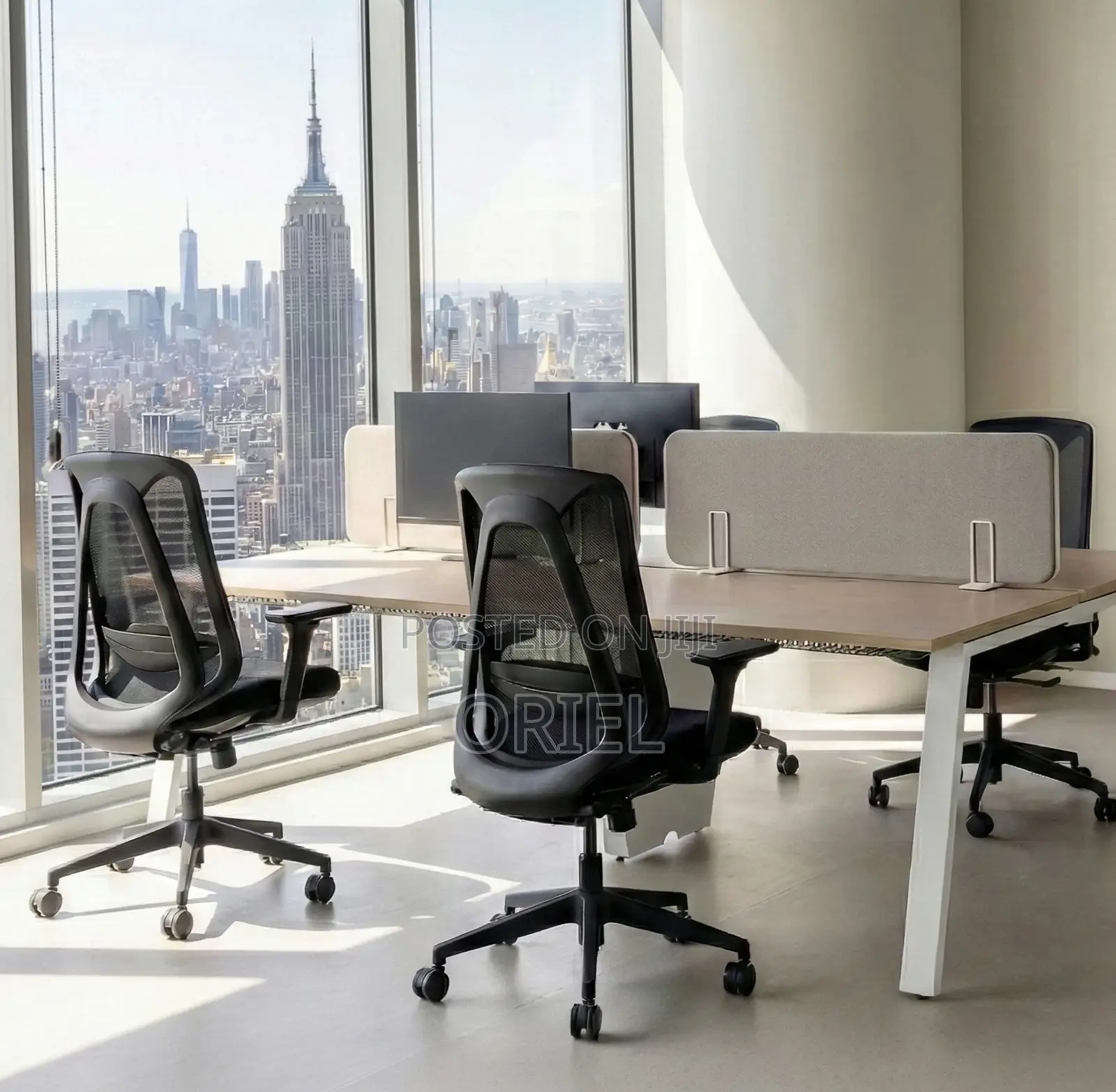 Office Chair : Adjustable Mid-Back Office Task Chair