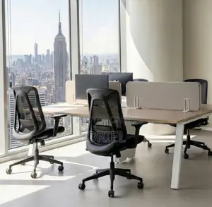 Office Chair : Adjustable Mid-Back Office Task Chair