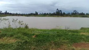 Penthouse Agri Lands