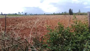 Penthouse Agri Lands