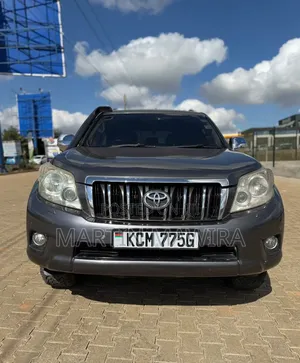 Toyota Land Cruiser Prado 2010 Gray